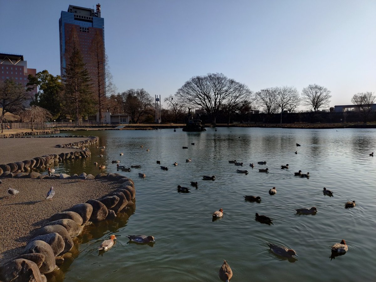 あひ～ル🦆 tweet media