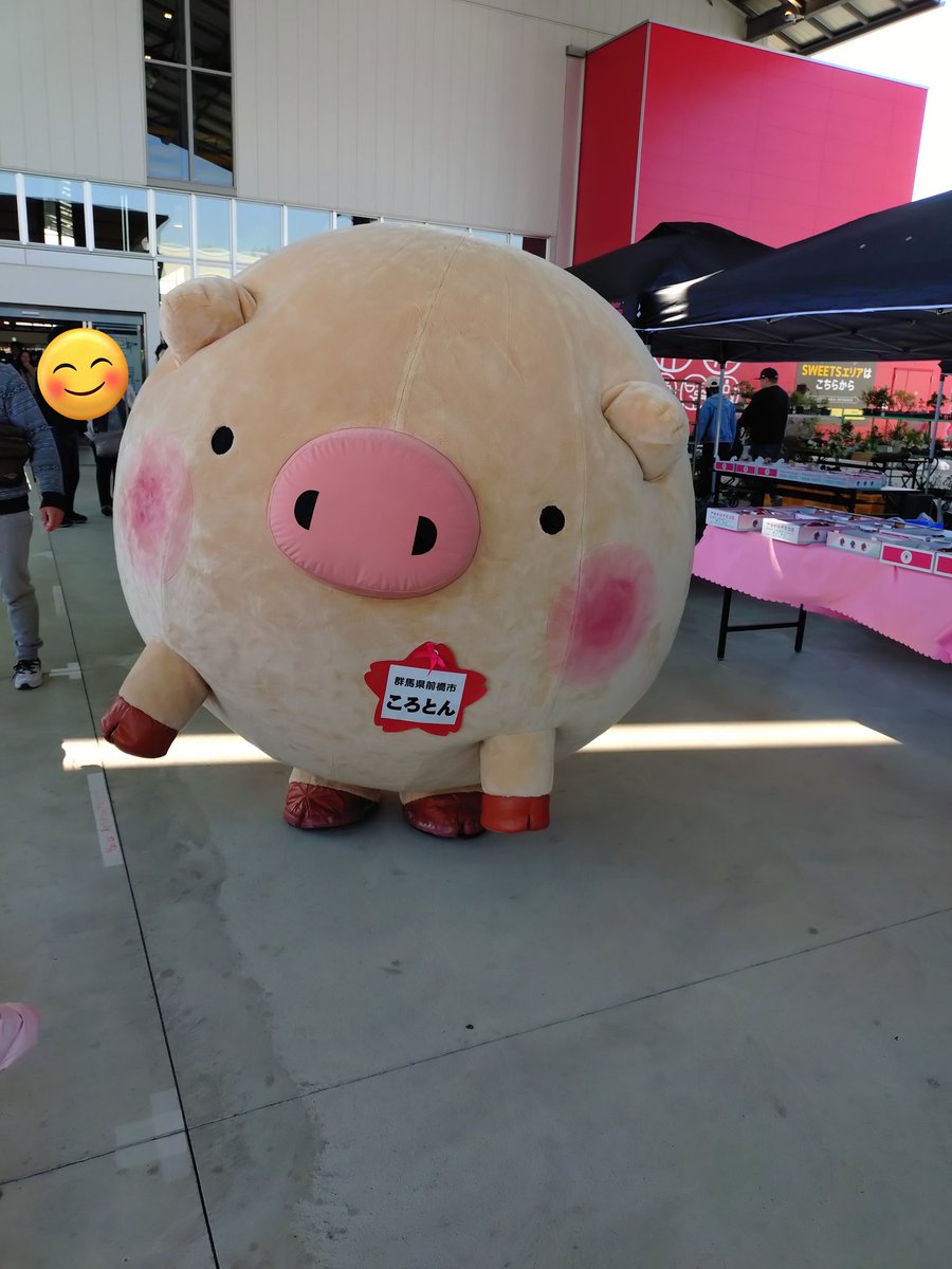 あひ～ル🦆 tweet media