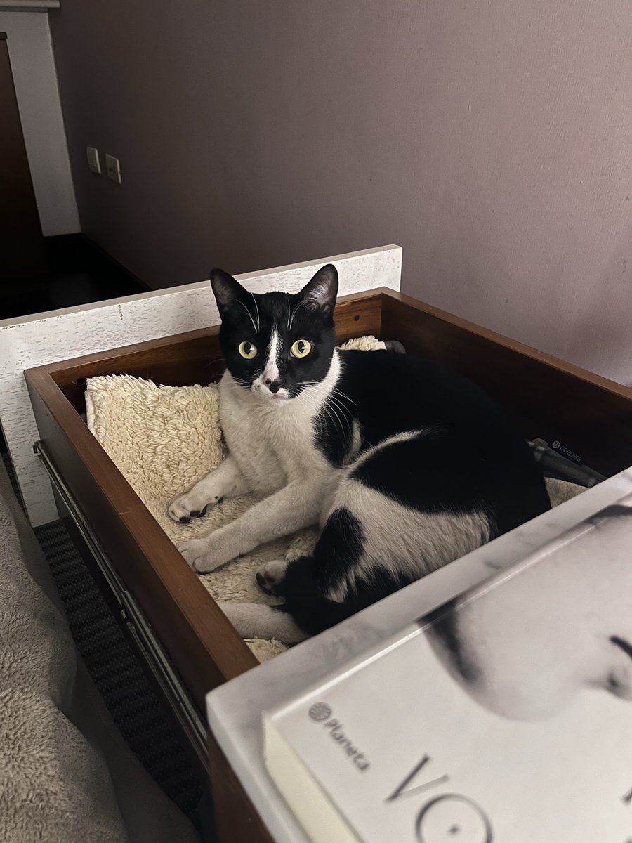 CECILIA MENDEZ tweet media