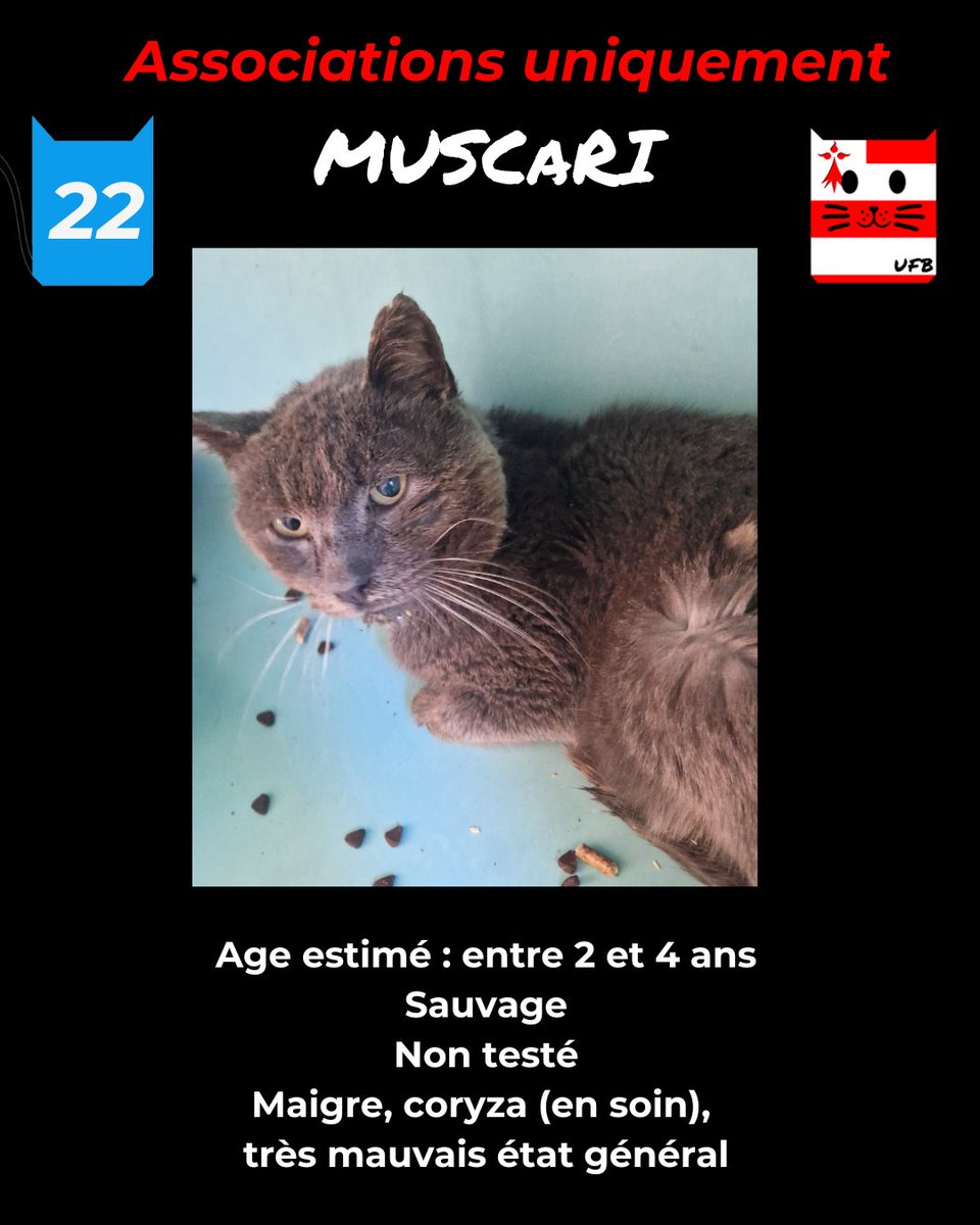 justine44 tweet media