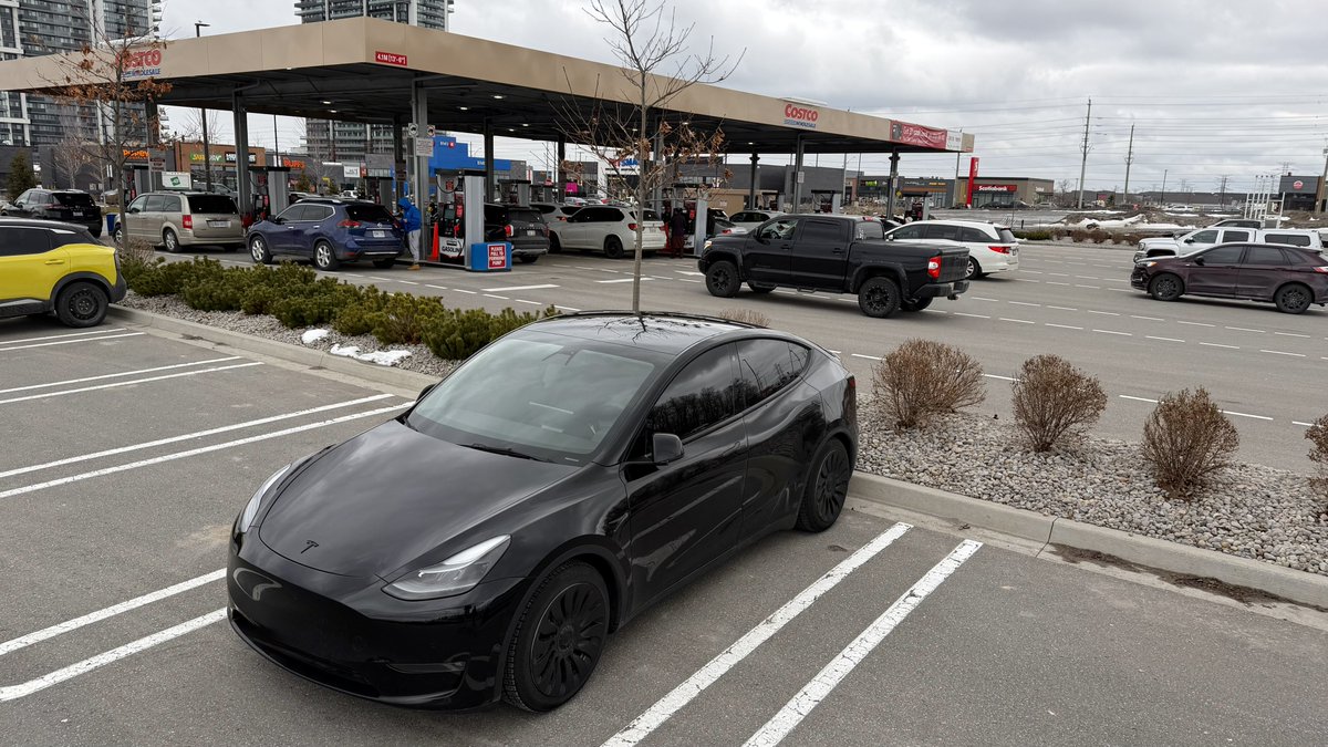 Nic Cruz Patane tweet media