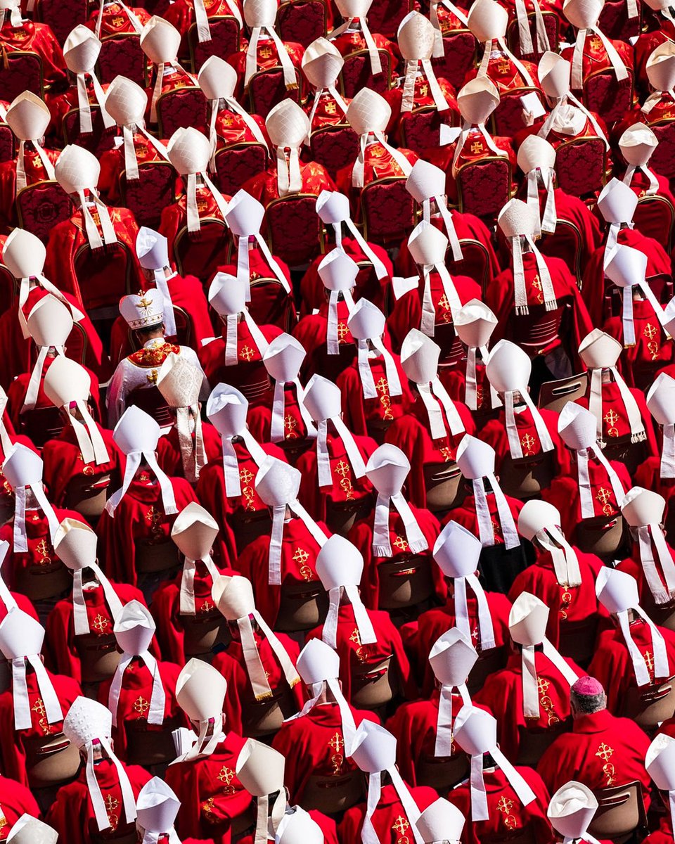 Last B 🌼🌸 tweet media