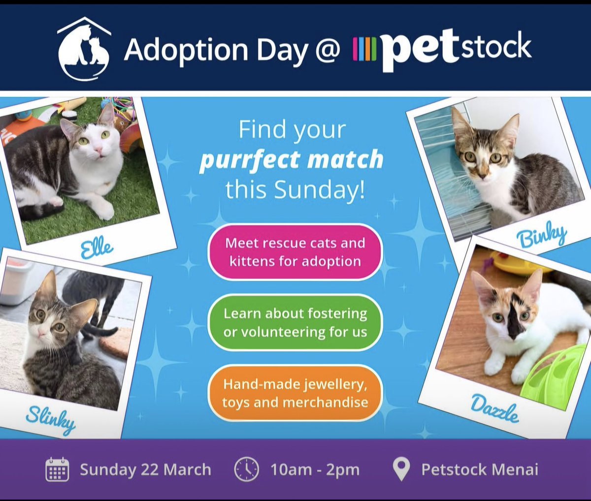 Atticus The Catticus. Xtreme sleeping Champion. tweet media