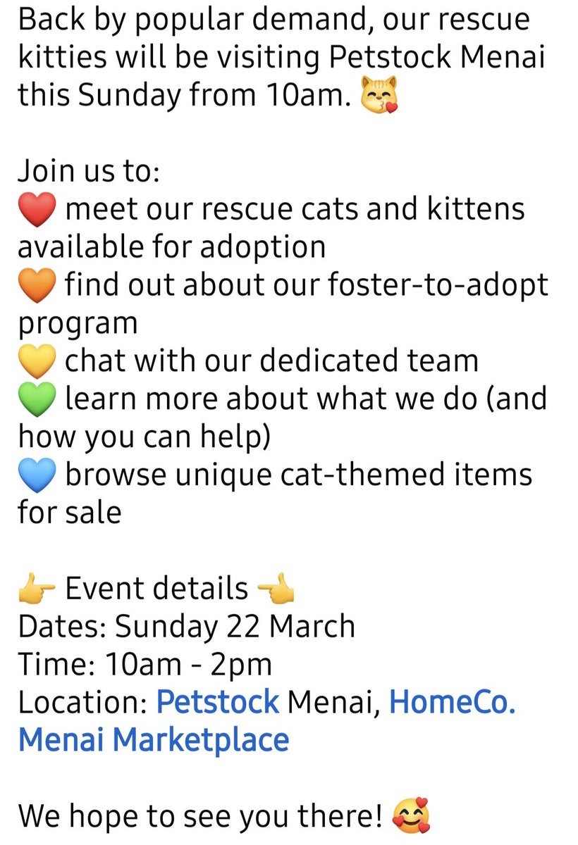 Atticus The Catticus. Xtreme sleeping Champion. tweet media