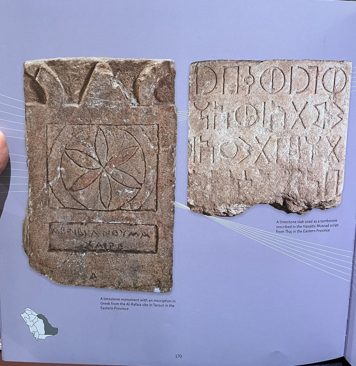 Haifa 🦢🪷 tweet media