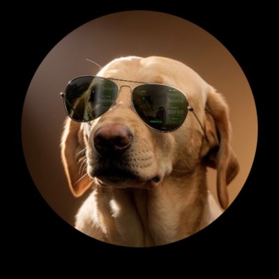 Jinja Kol tweet media