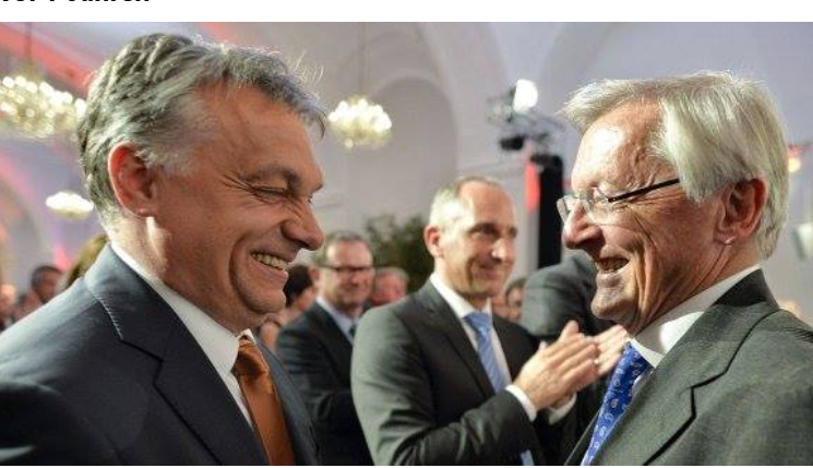 Traude Pinter tweet media