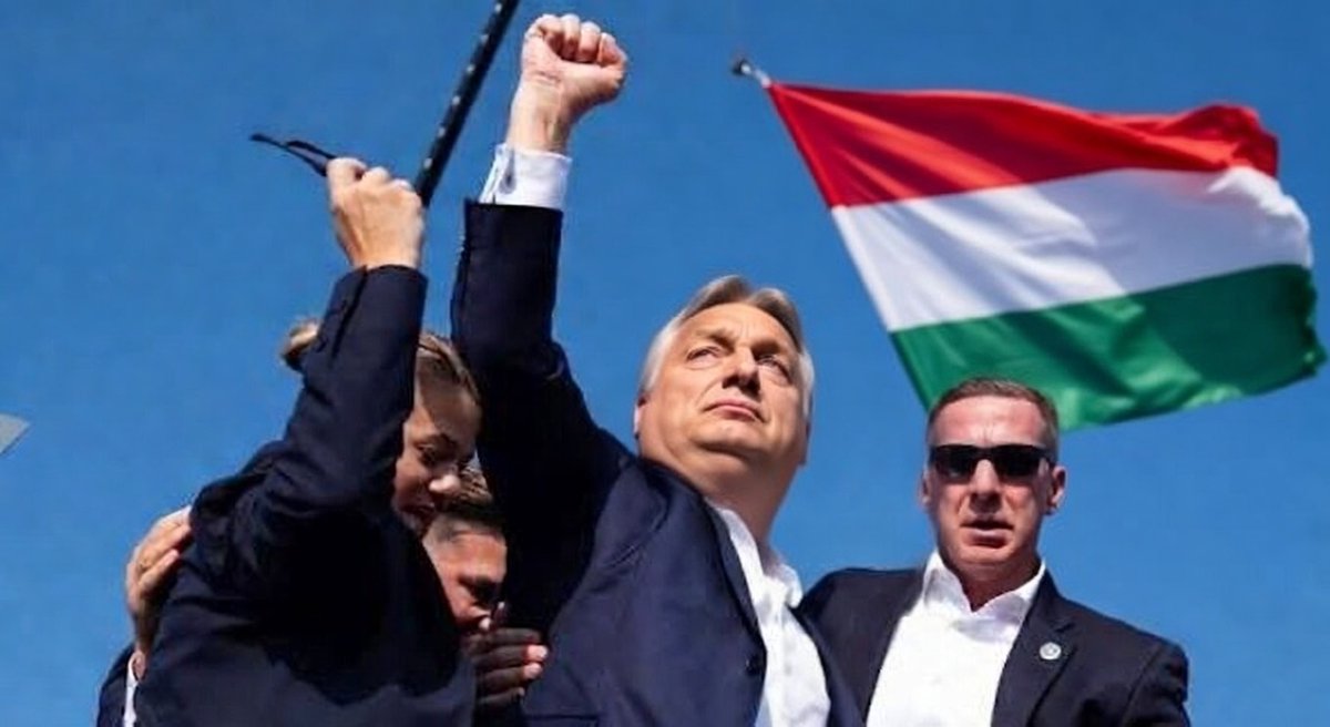 sabine mescher ❦ tweet media