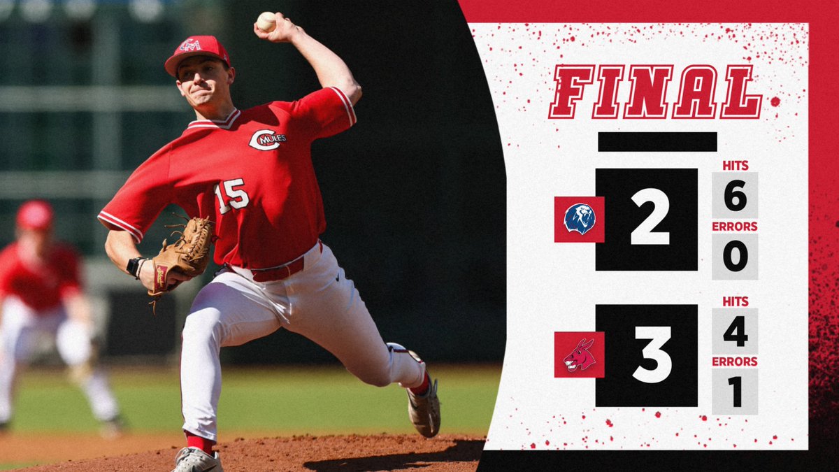 Roll Stable tweet media