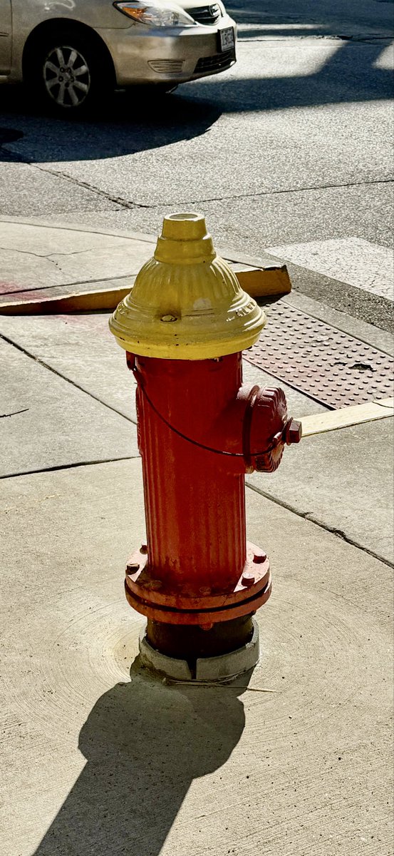 Jonathan Swanson tweet media