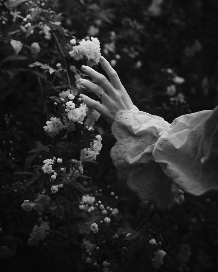 Lens of the world (@worldreamvibes) on Twitter photo 