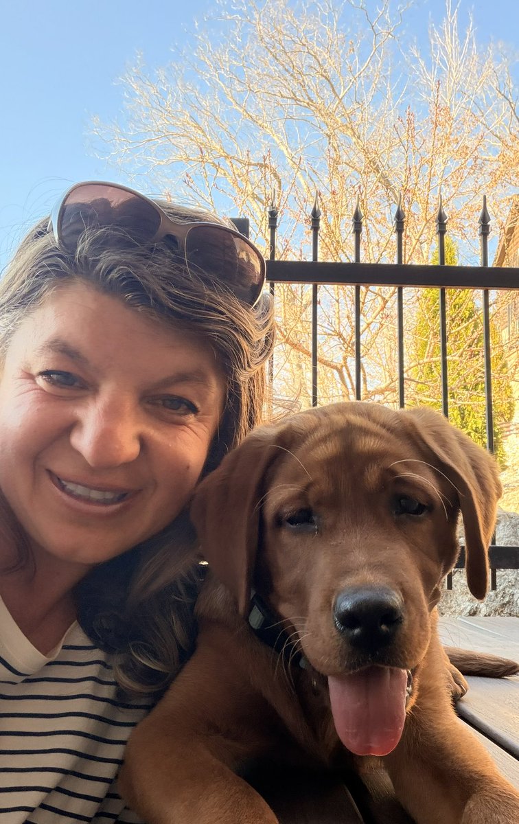 Arći (In memory of AZLAN🌈) tweet media