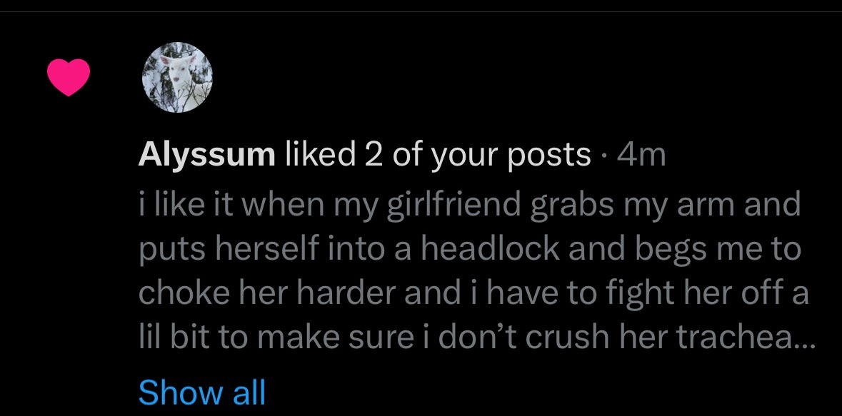 haze ✩ tweet media