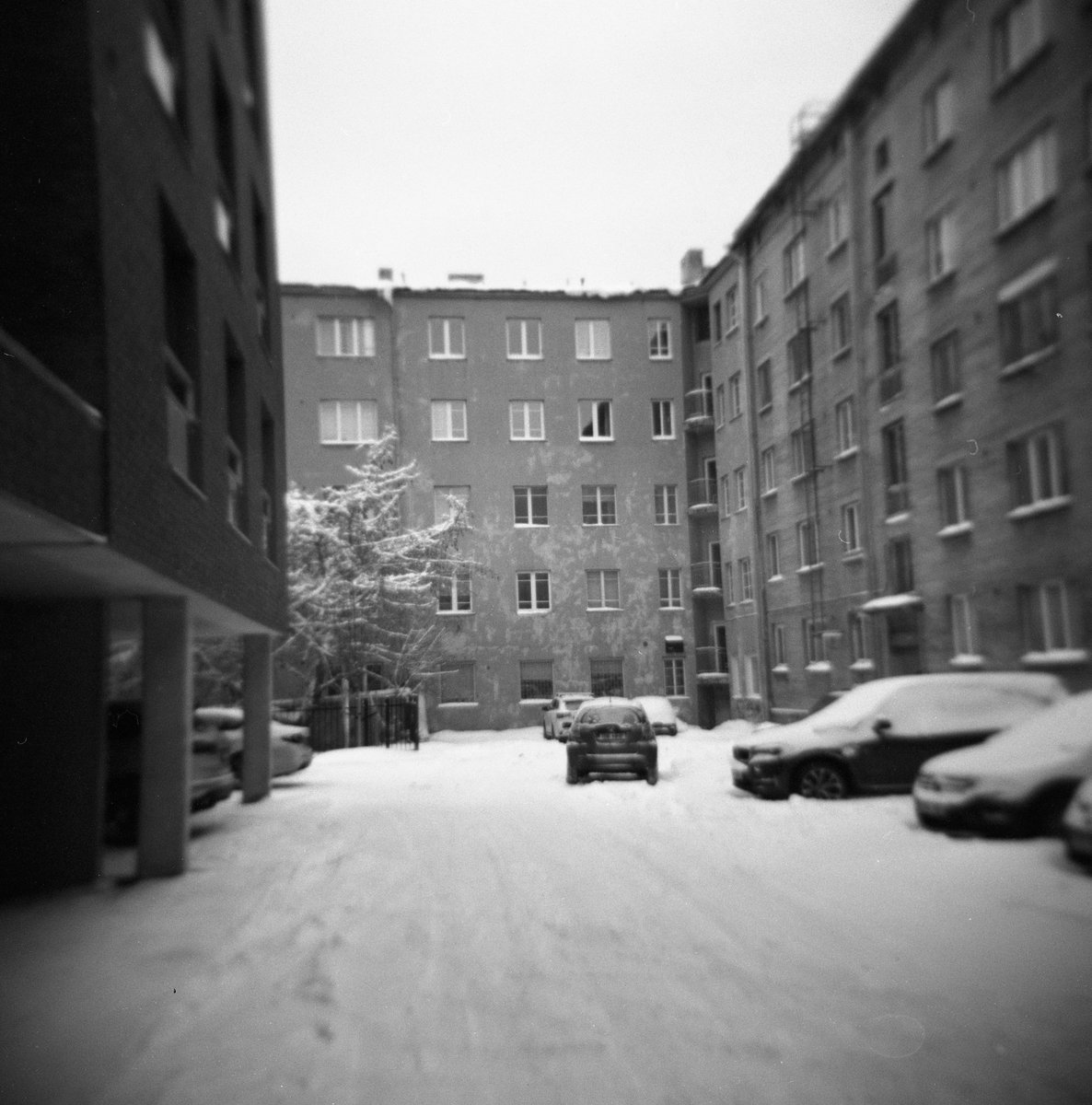 ‘A Norwegian Tourist’ by Lasse Tur tweet media