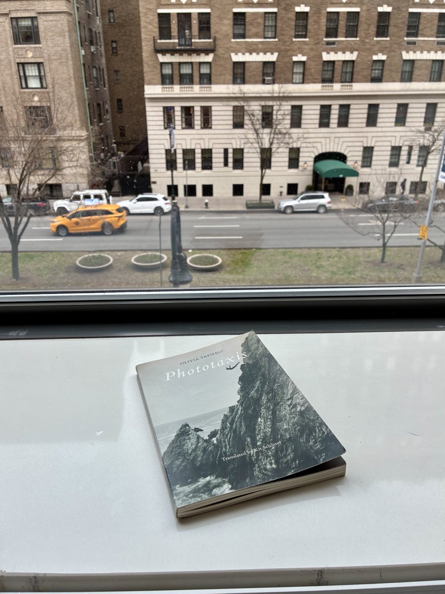 susumu yokota stan account tweet media