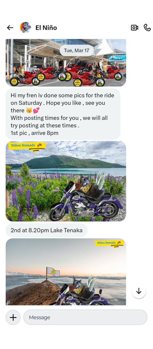 Angels Cinni, Oreo, and Hydrox tweet media