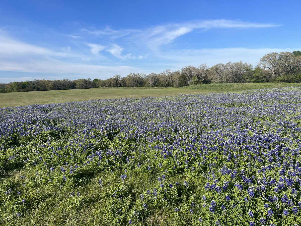 Clay Falls tweet media