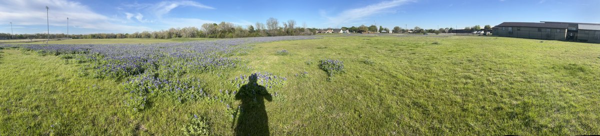 Clay Falls tweet media