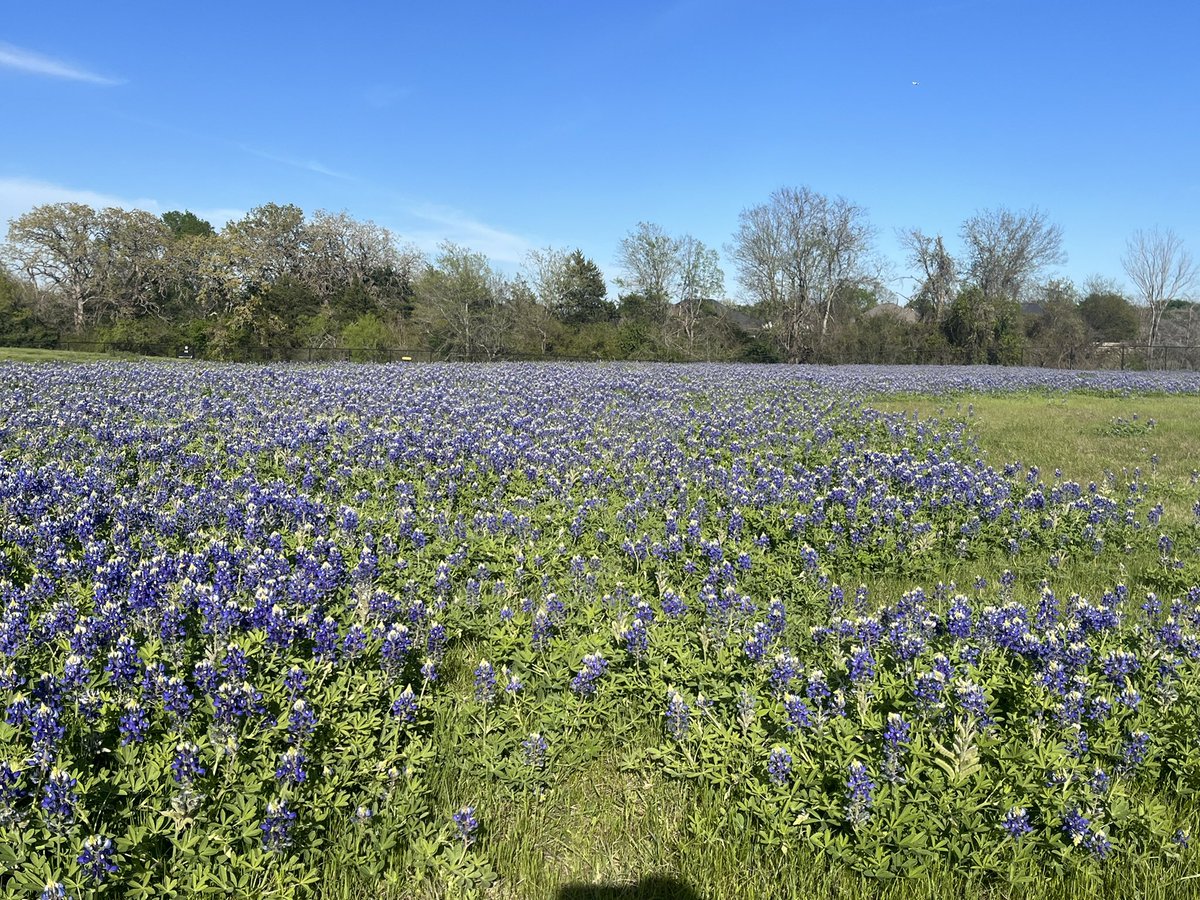 Clay Falls tweet media