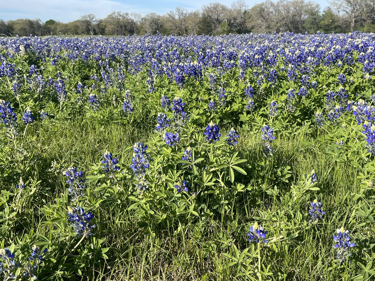 Clay Falls tweet media