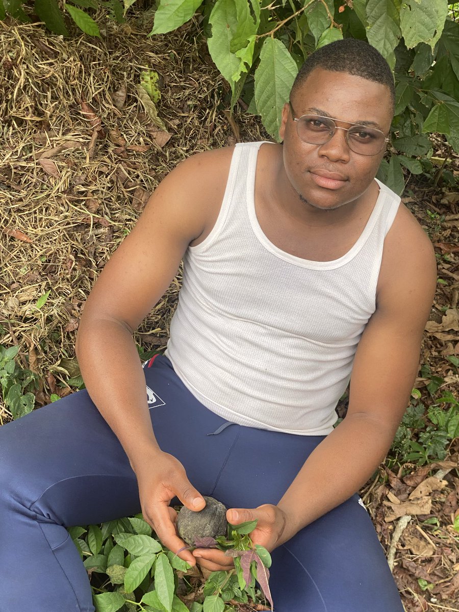 Gauthier win’s tweet media