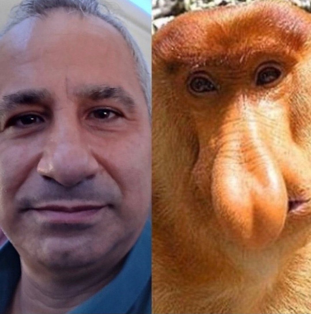 سـ‘ـُعـ‘ـُدًّ إبّنــّ إلأدّعــٌمّ 🇶🇦 tweet media