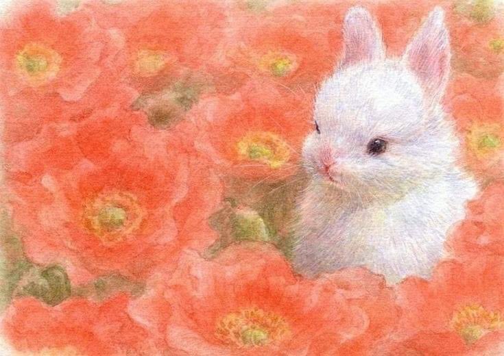 Así me siento cuando me regalan flores  por todo, solo porque si, por bonita, por existir, solo porque me aman…