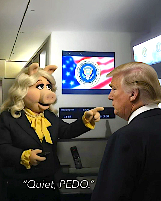 💙 Dr. MemeNstein votes 💙 BLUE 🇺🇸🦅 tweet media