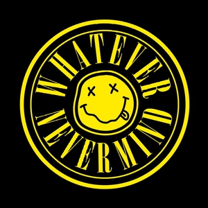 Plug & Play tweet media