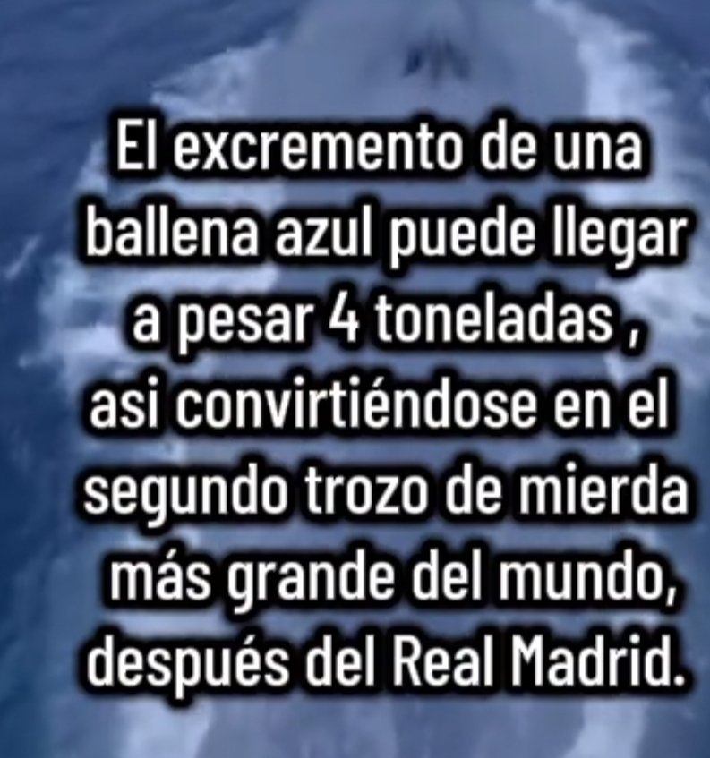 Gerard Gómez tweet media