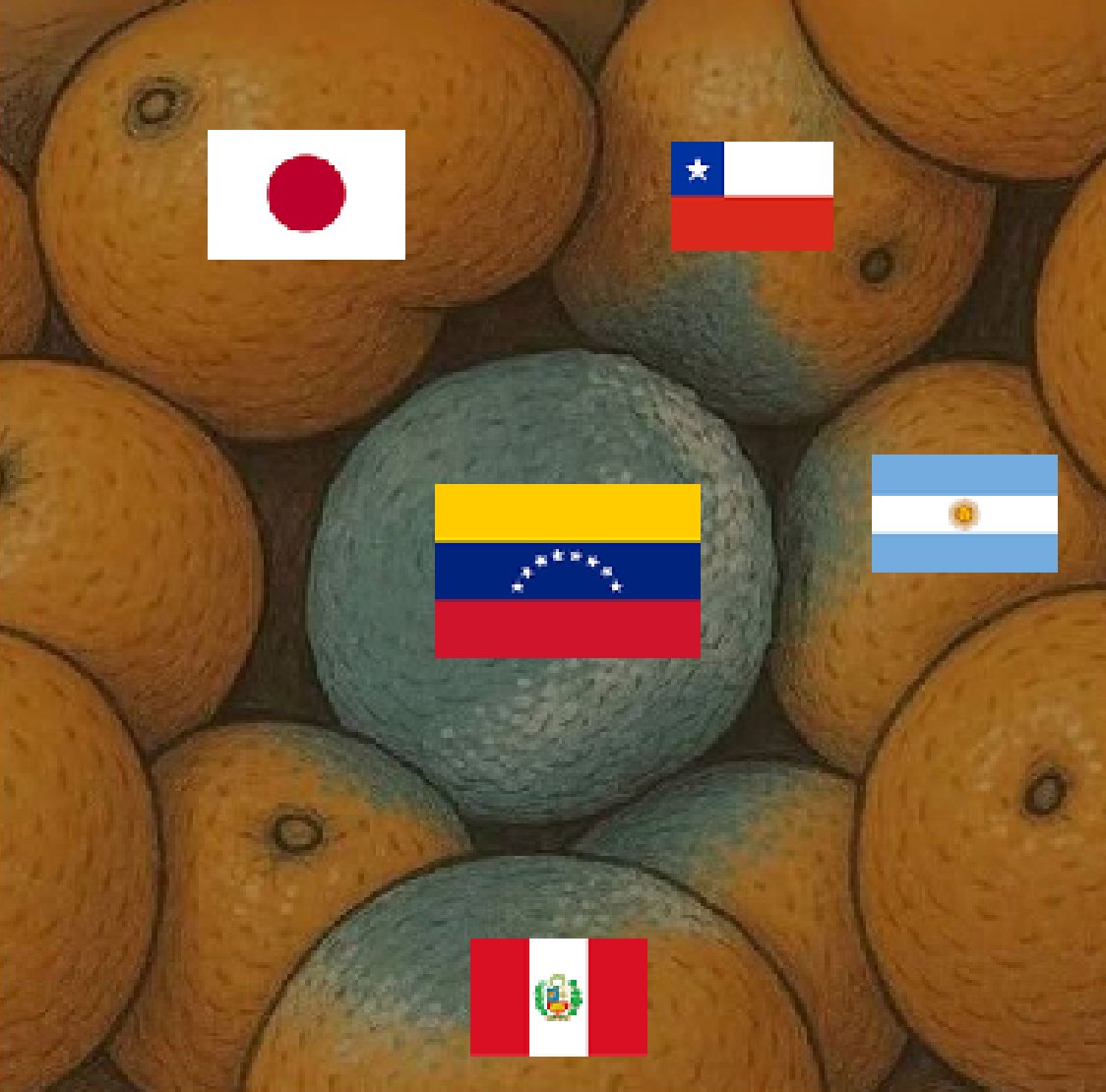 Global News 24 tweet media