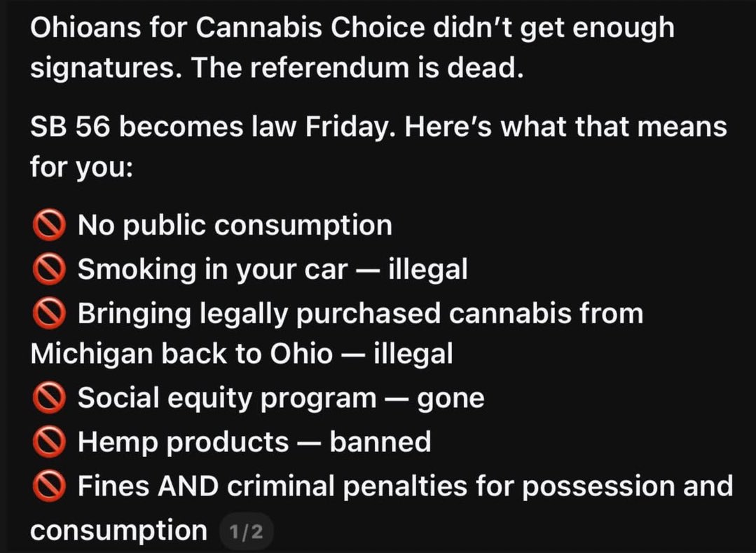 𝒄𝒂𝒕 🐅 tweet media