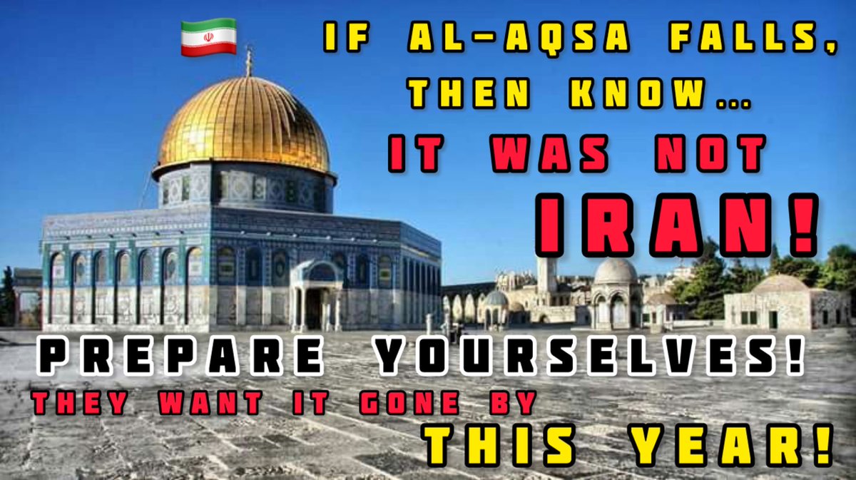 kash_official tweet media