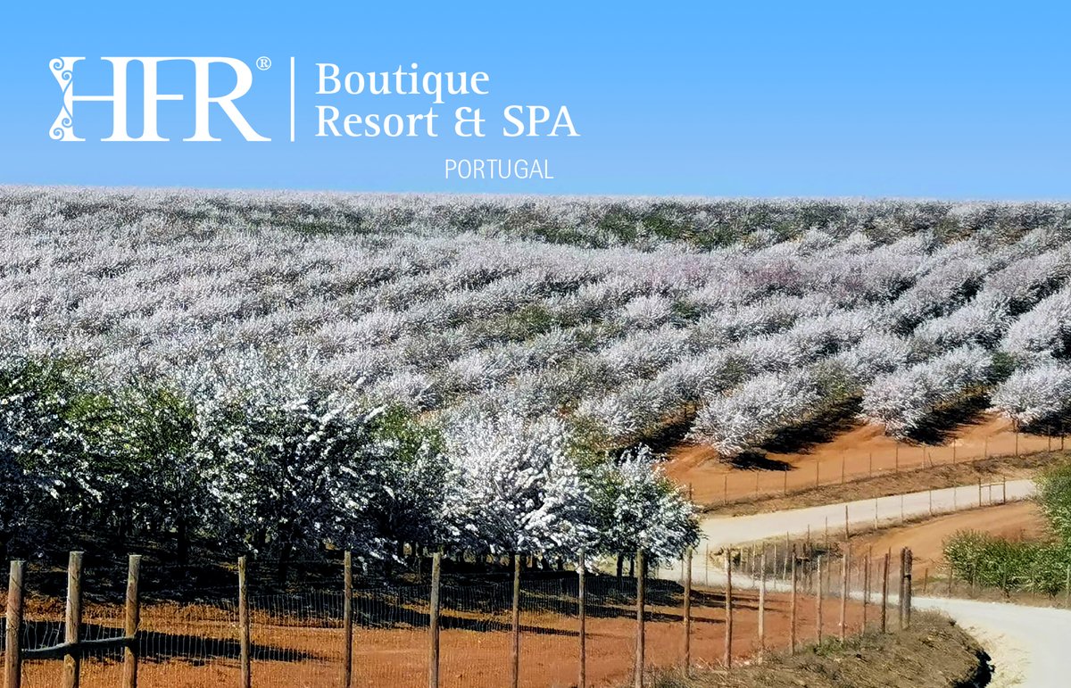 HerdadeFozdaRep's tweet image. It is looking a lot like spring is getting in
(almost like De Betuwe in the Netherlands)

HerdadeFozDaRepresa.com
Wine Experience (and more)

Drink Responsibly

#Beja #ToDo