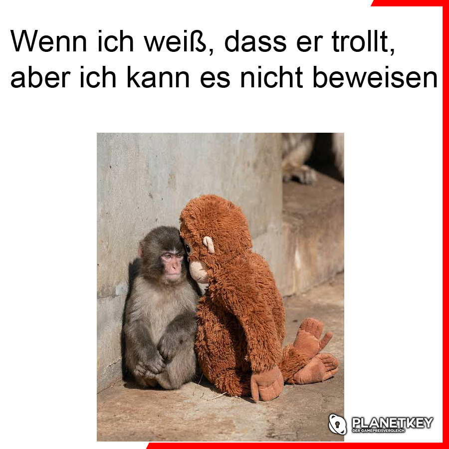 planetkey.de tweet media