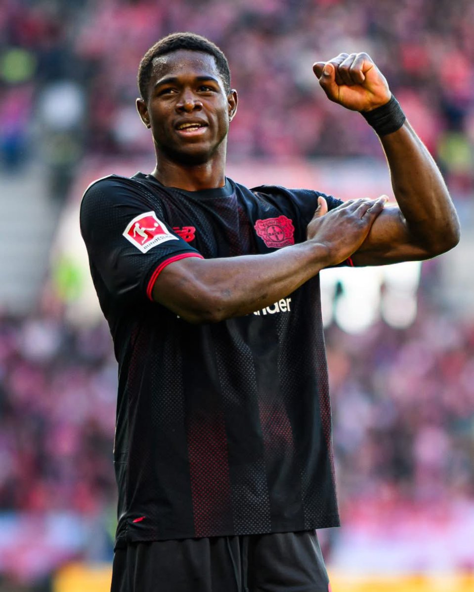 AllezLesLions tweet media