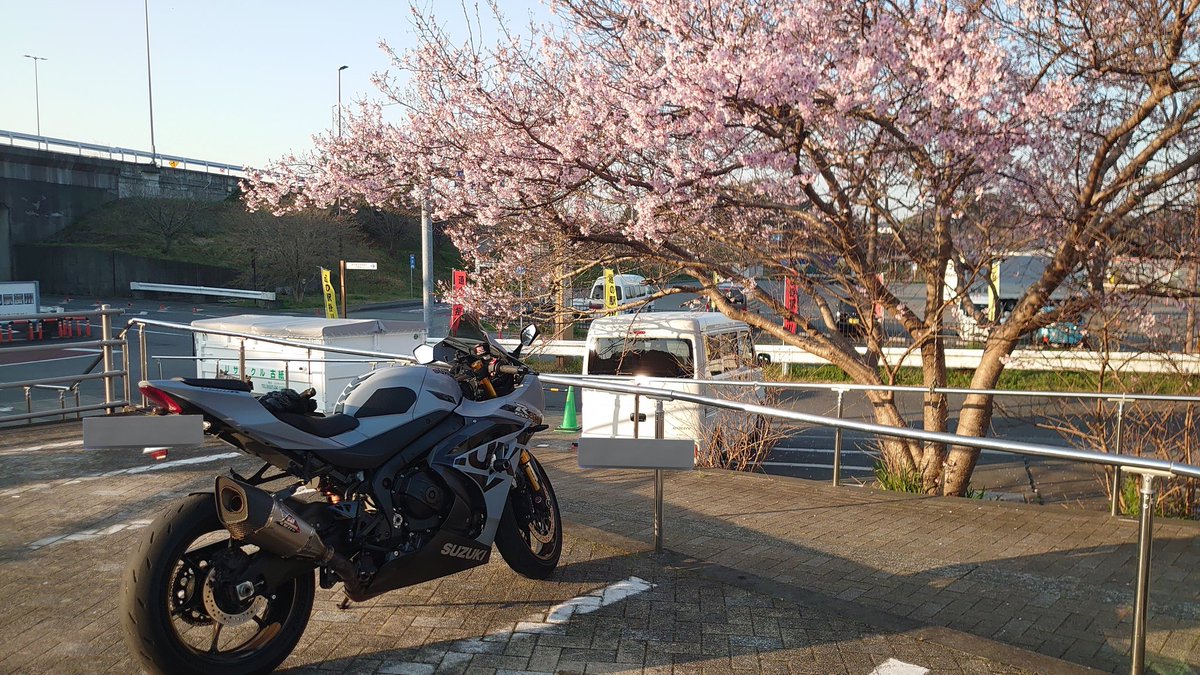 ざわちん tweet media