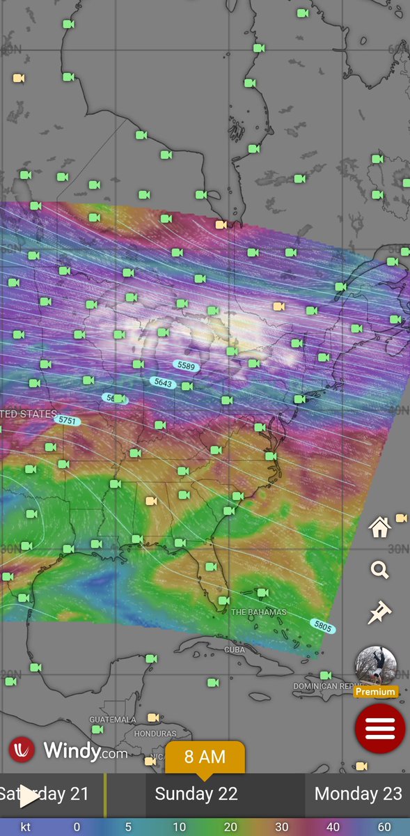 Timothy Ponepal tweet media