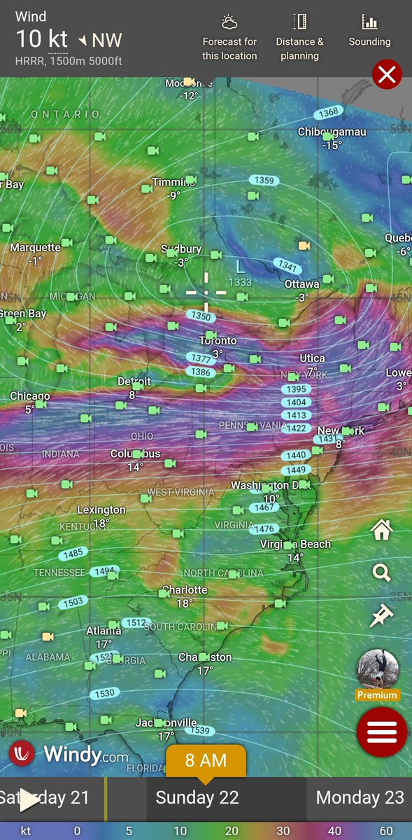 Timothy Ponepal tweet media