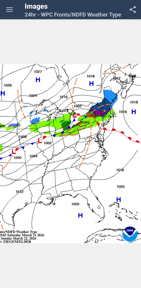 Timothy Ponepal tweet media