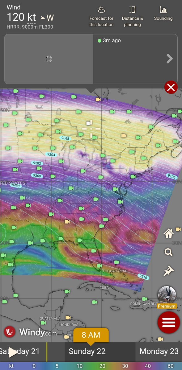 Timothy Ponepal tweet media