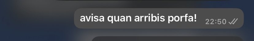 can batllori 🐟 tweet media