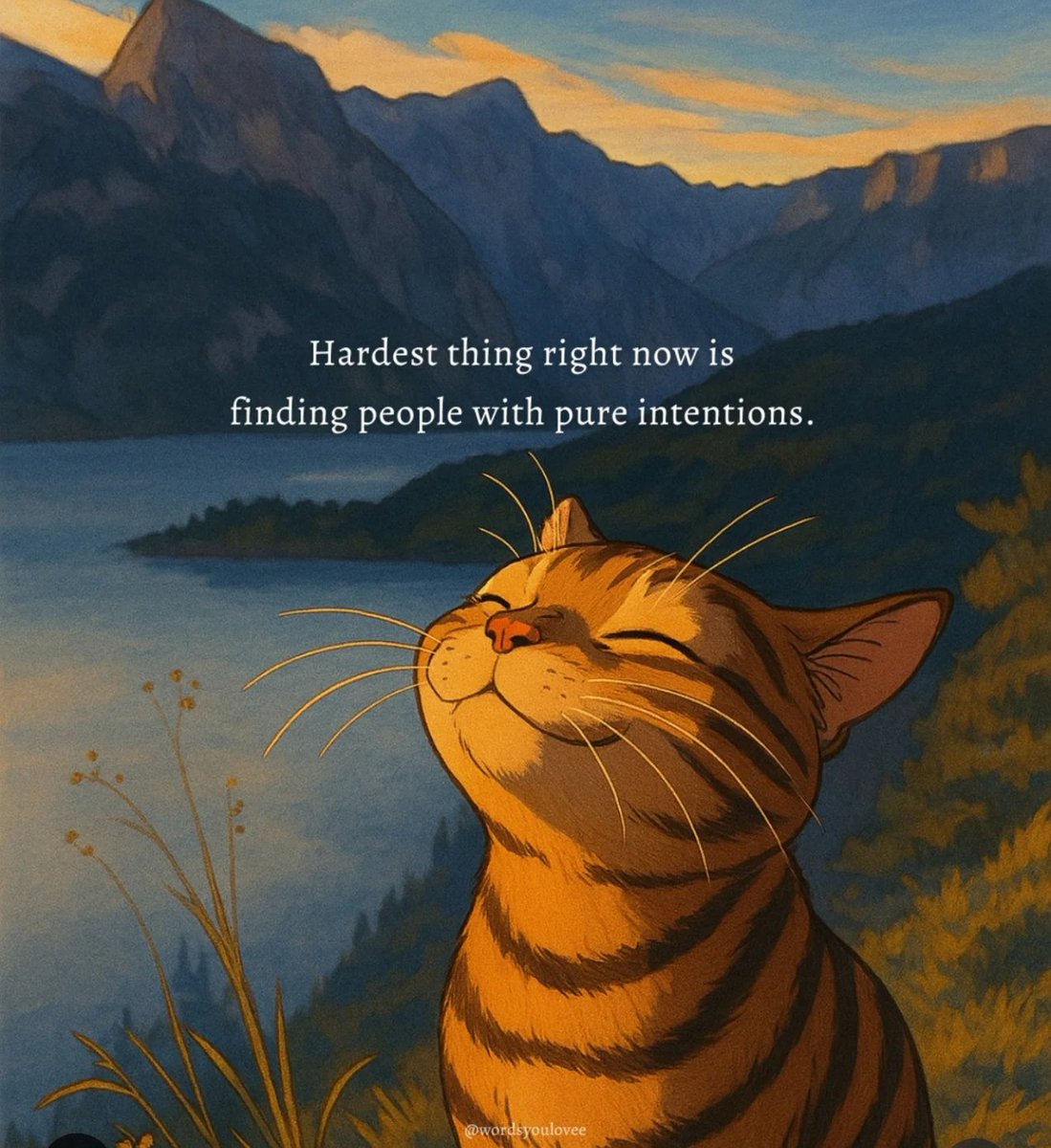 Mind Essentials tweet media