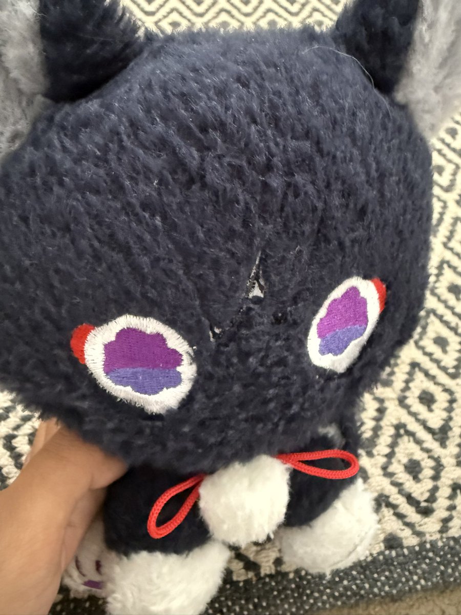 Freminet tweet media