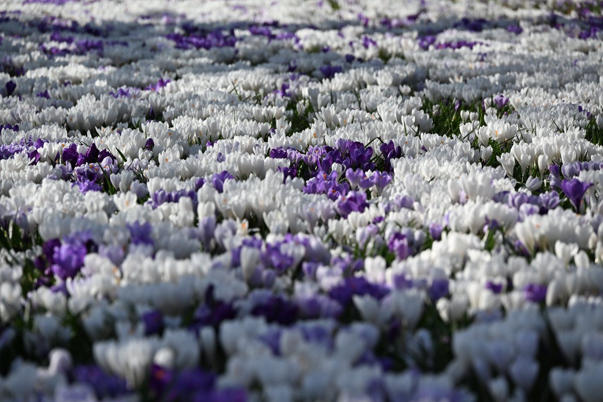 Stuart Cowper tweet media