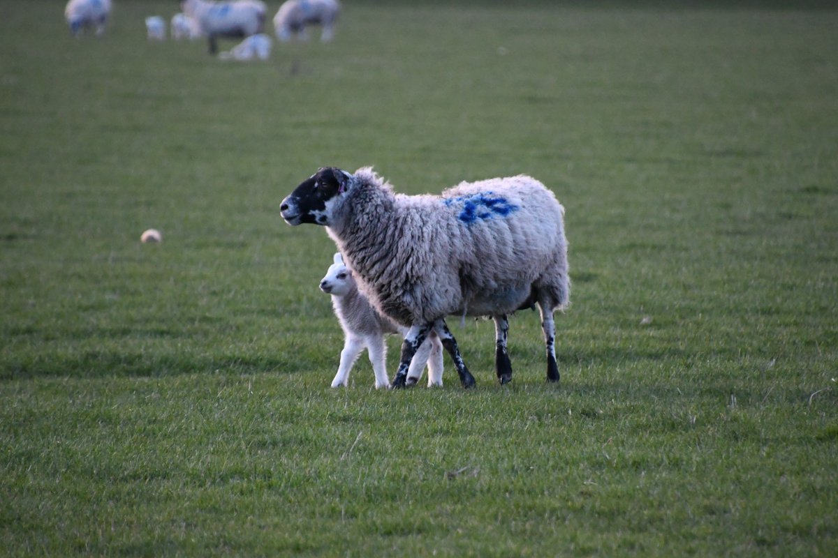 Stuart Cowper tweet media