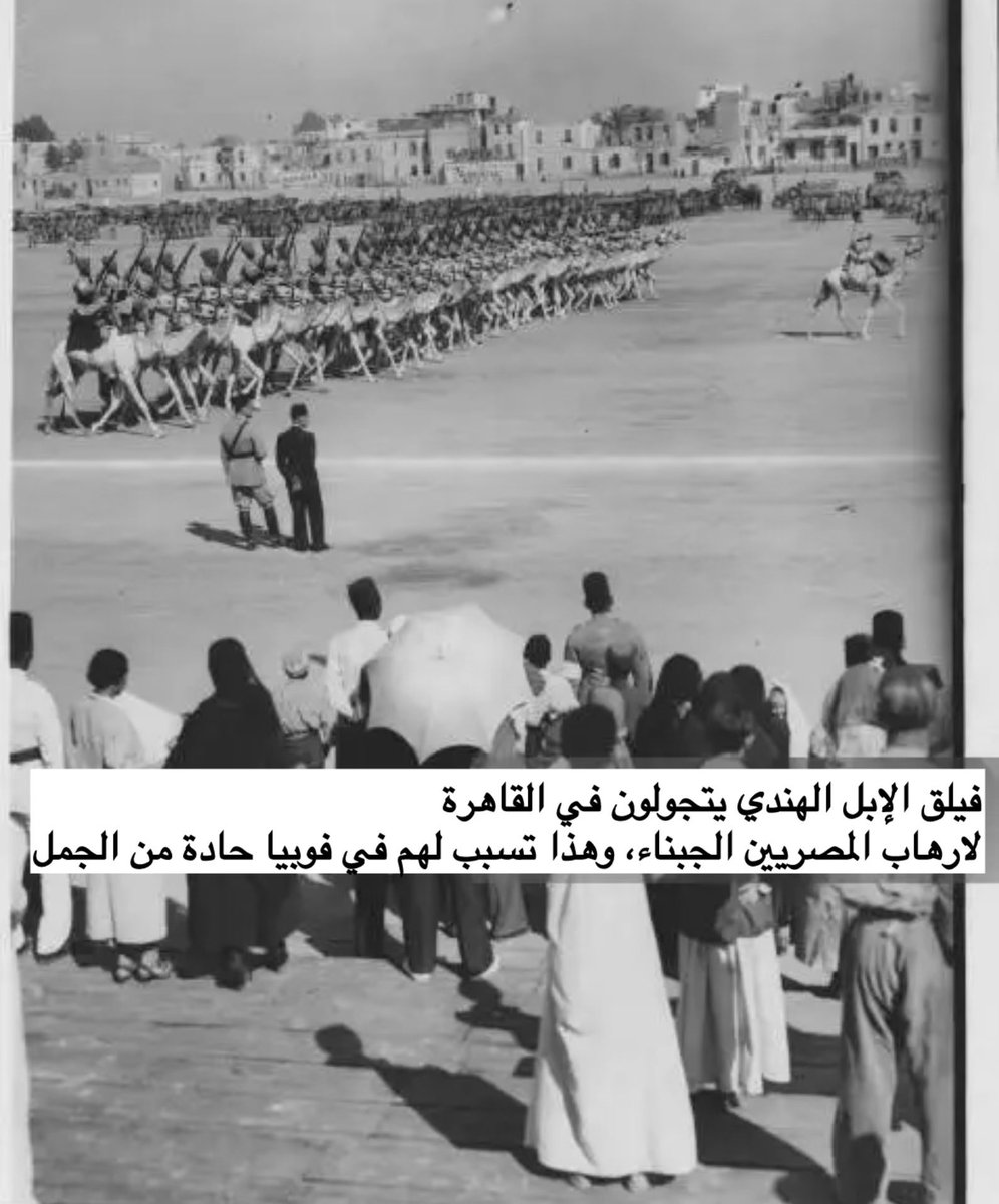 أحمد الشدادي ⚔︎ tweet media