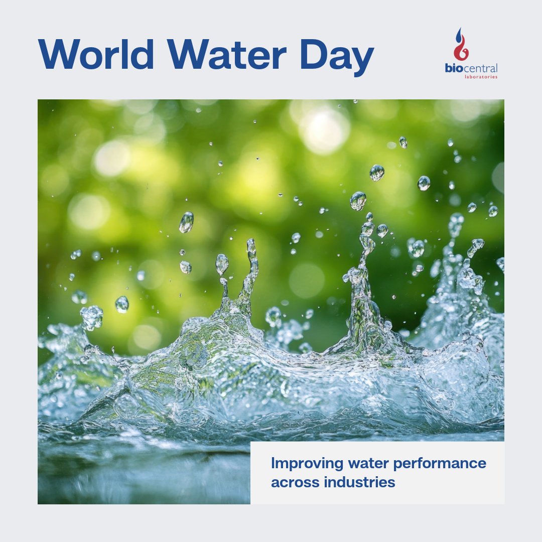BioCentralAG's tweet photo. It's #WorldWaterDay
#BCL develop solutions that improve water performance in firefighting, road stabilisation, dust suppression &amp; agriculture. 
Less waste. Better retention. Safe for soil and waterways. 
Water is limited. Use it smarter &amp; responsibly.

@UN_Water 
#WaterEfficiency https://t.co/9b62uJ2Y29