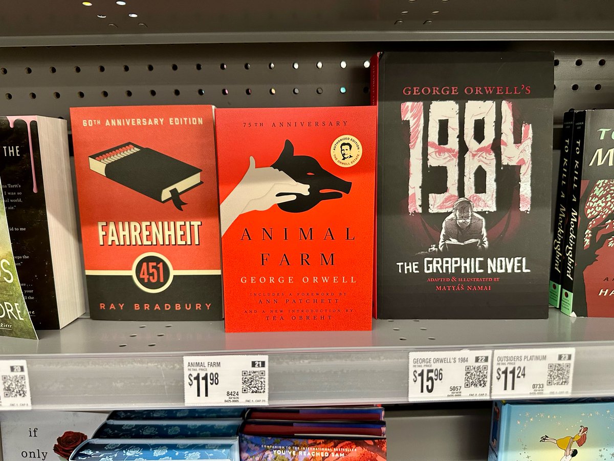 Terry with a y 🌊🇺🇸💙🌻 tweet media