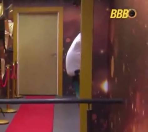 pirarucu01 tweet media